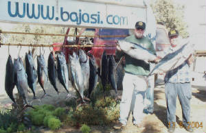 albacore.jpg